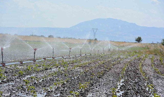 Denizli'de tarımsal sulama ile ülke ekonomisine 10 milyar TL katkı sağlanacak