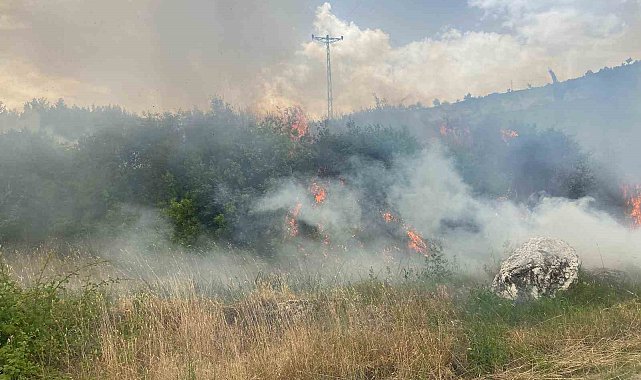 Denizli'de üç noktada orman yangını çıktı