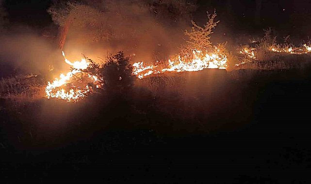 Denizli'de yangınla mücadele 21 saattir devam ediyor
