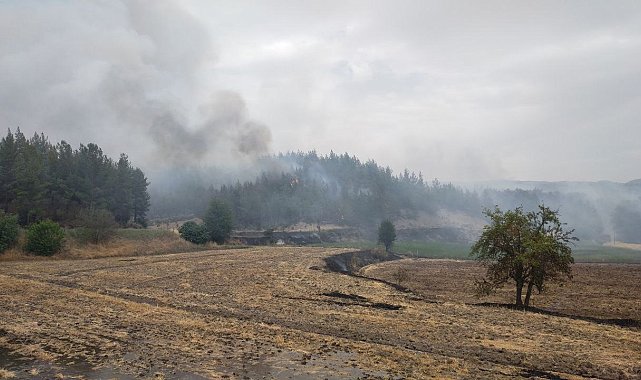 Denizli'deki yangın yerleşim alanlarından uzaklaştı