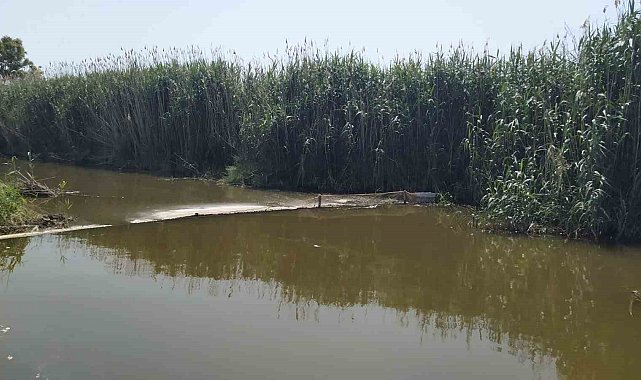 Didim'de hayalet ağ operasyonu: "Sahipsiz gergi ağları imha edildi"
