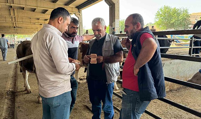 Diyarbakır Hayvan Borsası'nda son pazarlıklar yapılıyor