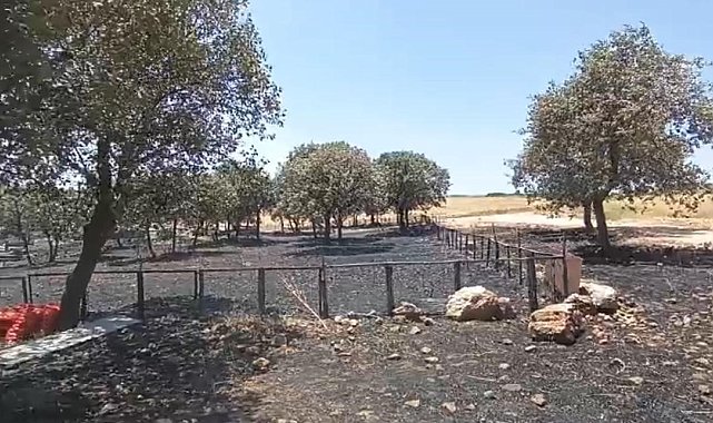 Diyarbakır ve Mardin'deki yangının çıkış sebebine ilişkin her ihtimal araştırılıyor