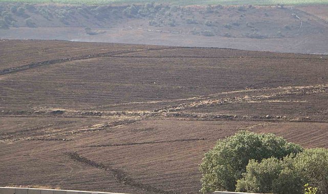 Diyarbakır'da 3 kişinin öldüğü, 11 kişinin yaralandığı örtü yangınının boyutu gün ağarınca ortaya çıktı