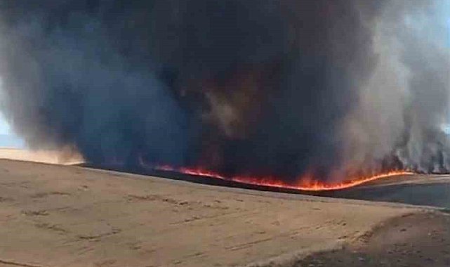 Diyarbakır'da bin dönümlük arazi küle döndü