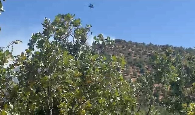 Diyarbakır&#039;da orman yangını: Havadan ve karadan müdahale ile söndürüldü