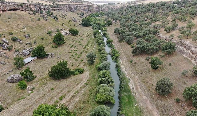 Diyarbakır'da sıcaktan bunalan vatandaşlar sulak ve serin yerleri tercih ediyor