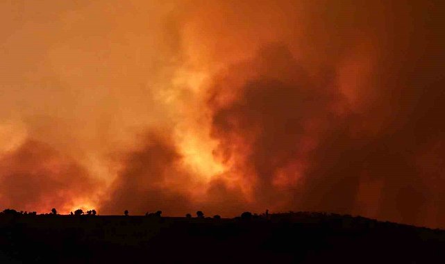 Diyarbakır'daki anız yangınında hayatını kaybedenlerin kimlikleri belli oldu