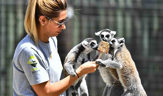 Doğal Yaşam Parkı sakinlerini serinleten menü