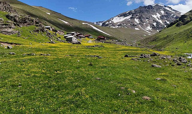 Dulağa Yaylası'nın Alpler'i aratmayan güzelliği