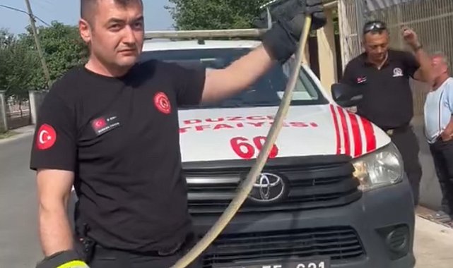 Düzce'de markette yılan paniği