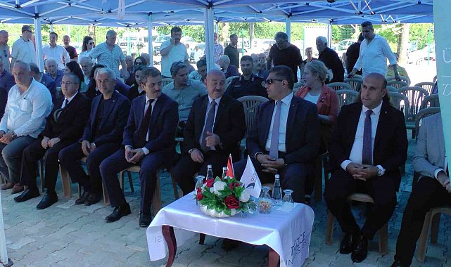 Düzce&#039;de tek ağaç fındık sistemi hayata geçecek