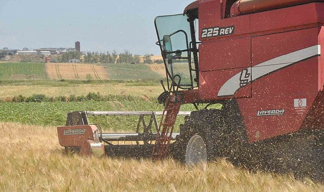 Edirne&#039;de arpa hasadı başladı