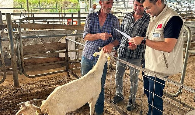 Edirne'de kurban satış yerlerinde denetim