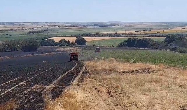 Edirne'de tarım arazisinde başlayan yangın ormana sıçramadan kontrol altına alındı