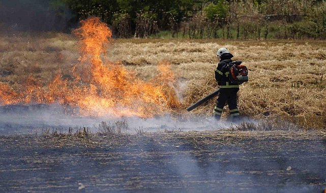 Edirne'de tarlada çıkan yangın korkuttu