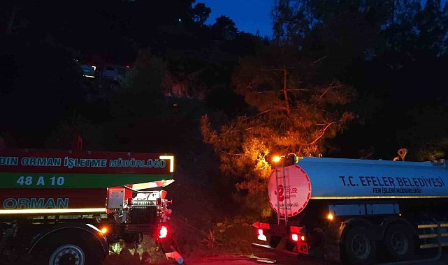 Efeler Belediyesi'nden Kuyucak'taki yangına destek