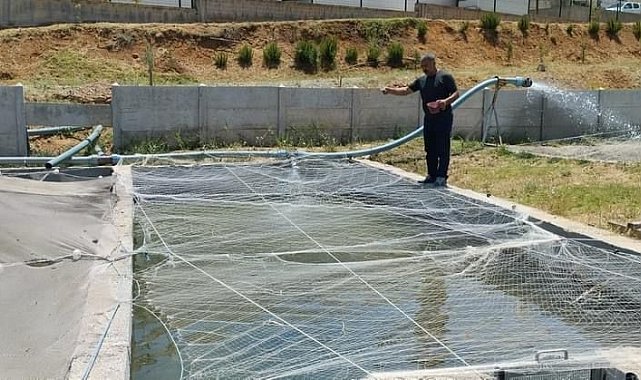 Elazığ'da Su Ürünleri AR-GE Merkezinde üretim çalışmaları sürüyor