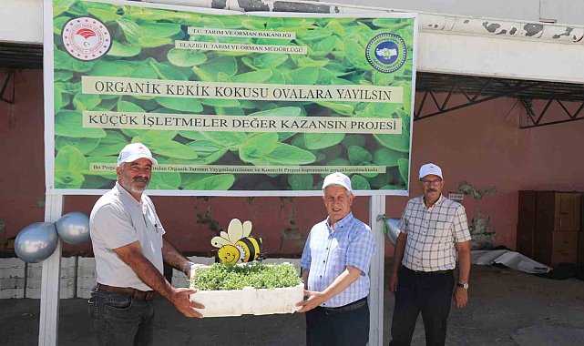 Elazığ'da üreticilere 30 bin kekik fidesi dağıtıldı