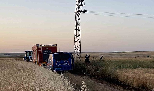 Elektrik akımına kapılan kuşlar yangına neden oldu