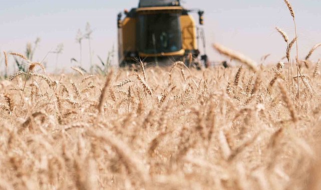 Emekli öğretmenin Mardin&#039;de zorlu biçerdöver mesaisi