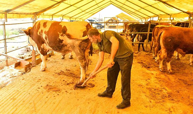 Esenyurt Belediyesi tarafından hayvansal atıklardan organik gübre elde ediliyor