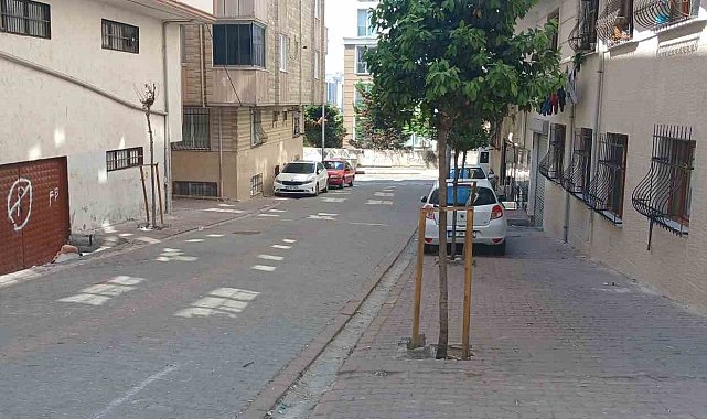 Esenyurt'ta kadınlar arasında taşlı bıçaklı kavga