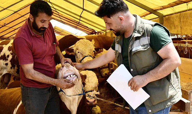 Esenyurt'ta kurbanlıklara sıkı kontrol