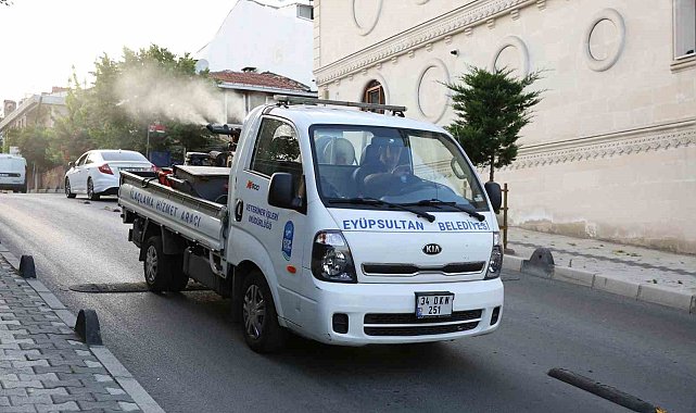 Eyüp'te sivrisinek ilaçlama çalışmaları aralıksız sürüyor