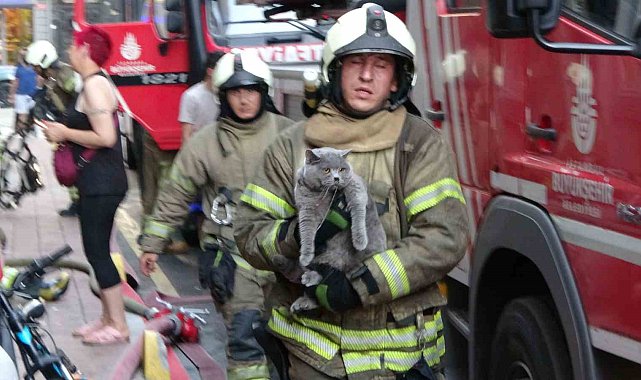 Fatih&#039;te yangında mahsur kalan kedi itfaiye ekiplerince kurtarıldı