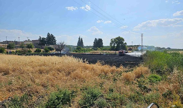 Gaziantep'te 10 dönüm buğday tarlası küle döndü