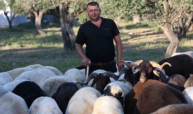 Geçtiğimiz yıl kurban satışının sessiz geçtiği deprem bölgesinde kurban hareketliliği başladı