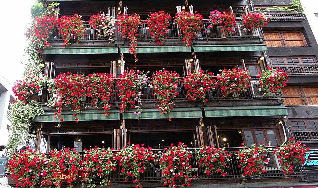 Giresun'un en renkli binası görenlerin ilgisini çekiyor