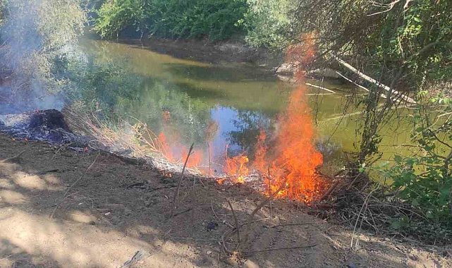 Göksu Nehri kenarında çıkan yangın kısa sürede söndürüldü