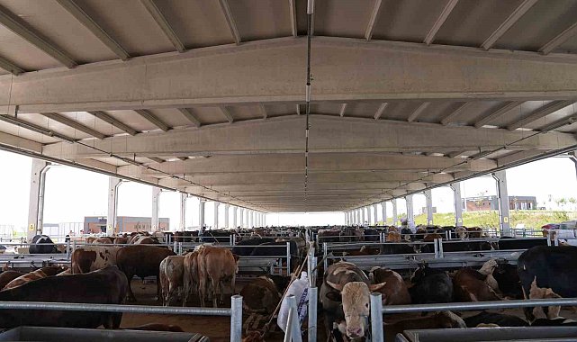 Gölbaşılılar, Kurban Satış ve Kesim Merkezi'ne ücretsiz ulaşacak