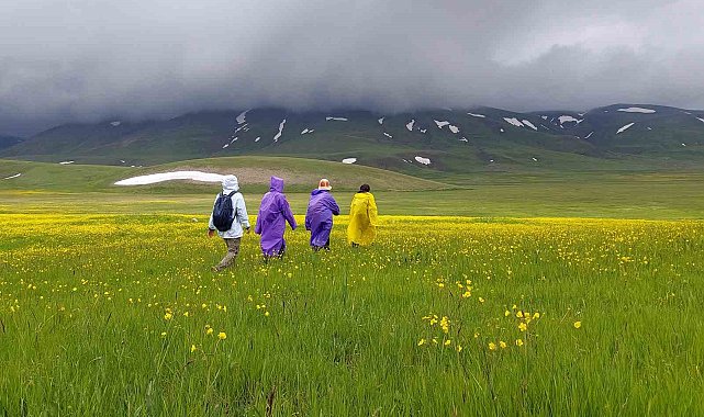 Gümüşhane dağları baharın renklerine büründü