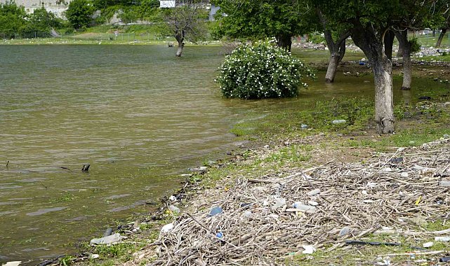 Gümüşhane'deki mahallenin çöplerle olan derdi bir türlü bitirilemiyor