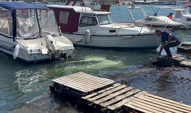 Haliç Sahili'nde sürücüsünün yol kenarına park ettiği otomobil denize düştü: Sürücü son anda kurtuldu