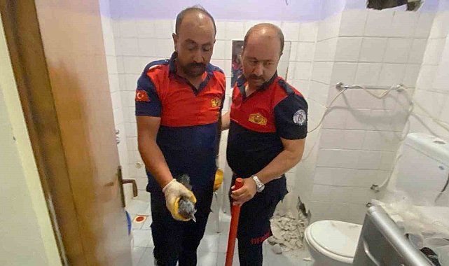 Havalandırma boşluğunda sıkışan karga yavrusu kurtarıldı