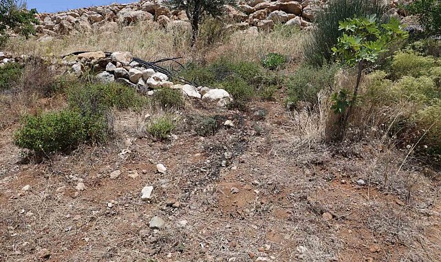 Her yerde aranıyordu, bahçesini sulayan vatandaşın aldığı koku üzerine cesedi bulundu