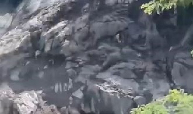 Hopa'da yamaçtan kopan kayalar seyir halindeki araca isabet etti: Karayolu ulaşıma kapandı