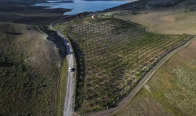 Hububat ekili kıraç arazisini badem bahçesine çevirdi, gelirini artırdı