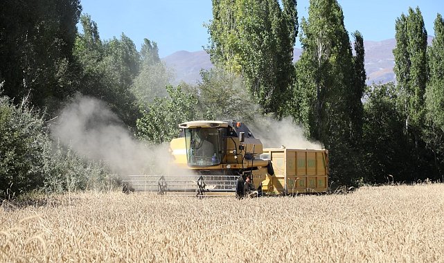 Hububatta dane kaybı önlenecek