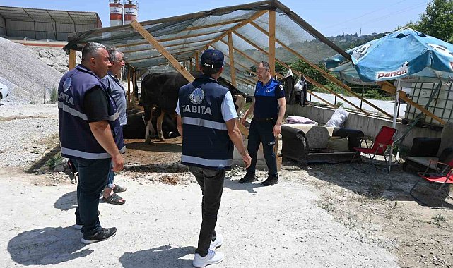 İlkadım zabıtası kurban denetimlerini artırdı