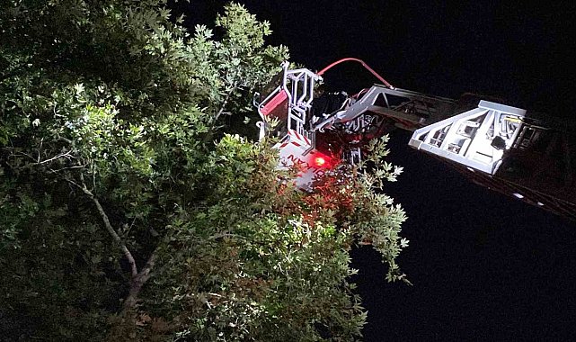 İnegöl'de itfaiyenin ilginç keser operasyonu