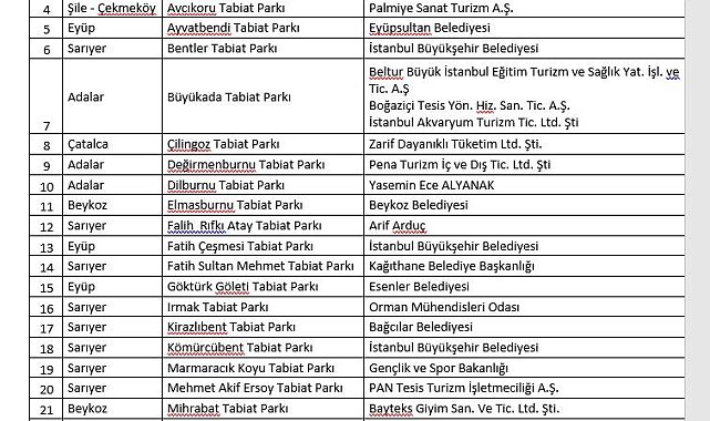 İstanbul Valiliği orman yangınlarına karşı alınan önlemleri duyurdu