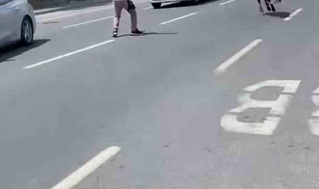 İstanbul'da kurbanlık dana firarda: Trafiği birbirine katan dana iki ilçe değiştirdi