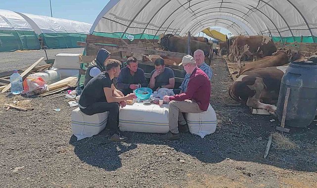 İstanbul&#039;da kurbanlıklar pazara indi