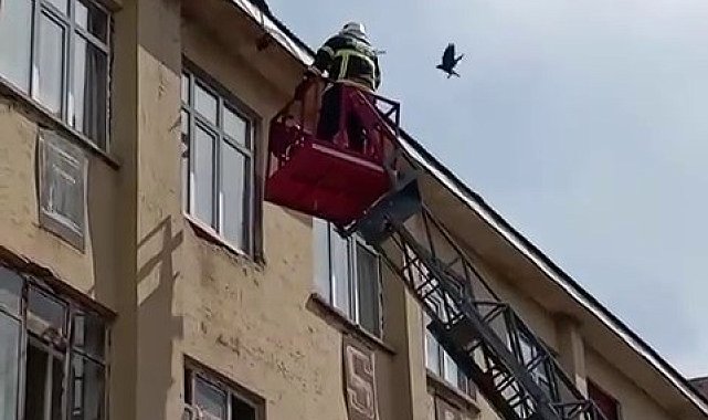İtfaiye ekiplerinden karga kurtarma operasyonu