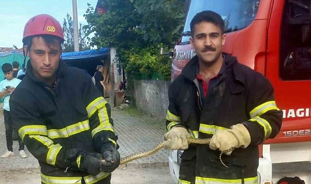 İtfaiye ekiplerinin yılan mesaisi
